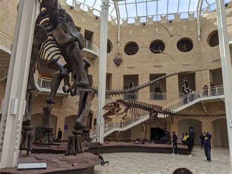 How To Get The Fernbank Museum Teacher Discount