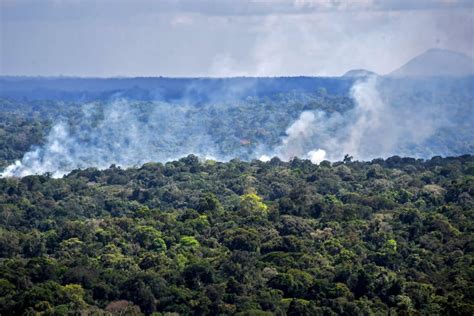 Climate crisis: Deforestation of Amazon rainforest has accelerated since Bolsonaro took office ...