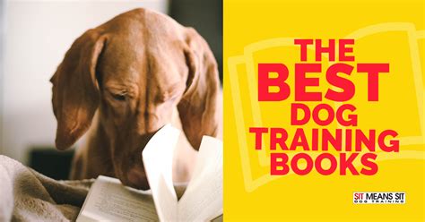 Best Dog Training Books for Every of Dog - Sit Means Sit San Antonio