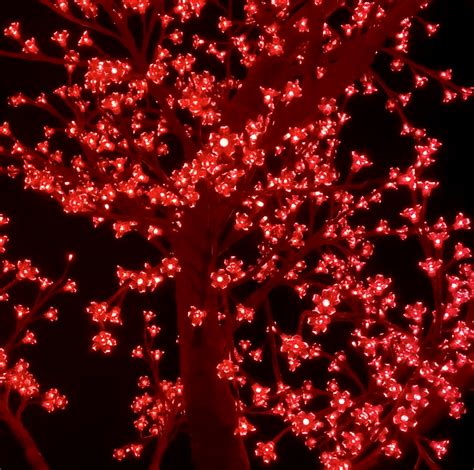 Clear Cherry Blossom 120″ 1660 Lights – Luminous Trees