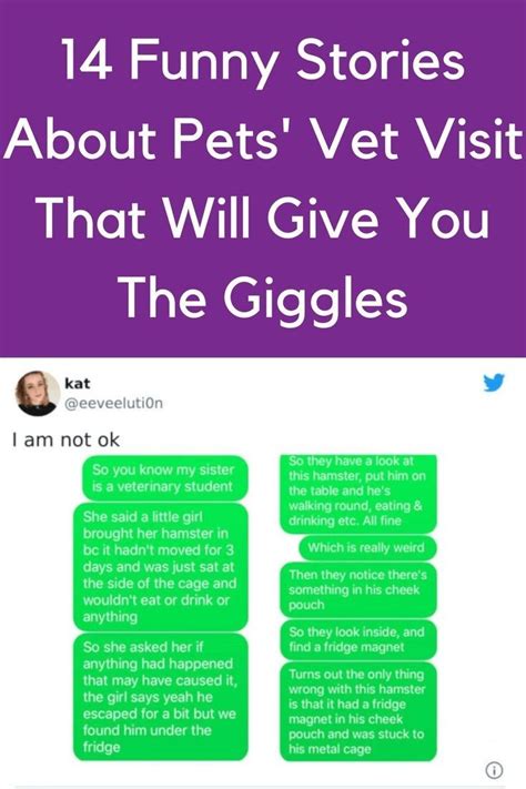 40 pet owners shared the most ridiculously hilarious emergency vet bill ...