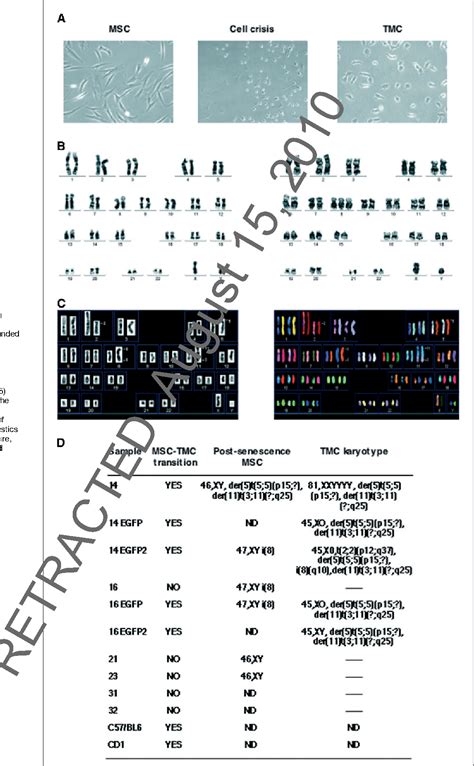 Adult Stem Cells | Semantic Scholar