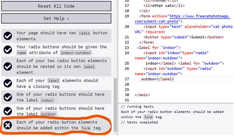 A problem in Radio buttons HTML - HTML-CSS - The freeCodeCamp Forum