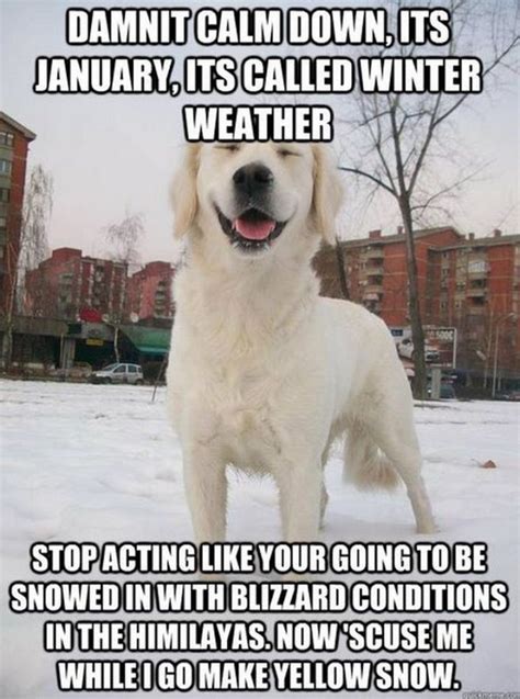 55 Funny Winter Memes That Are Relatable If You Live in the North