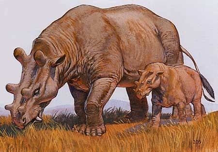 Uintatherium Photo by New4EverEden | Photobucket | Prehistoric animals, Ancient animals, Prehistoric