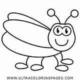 Dibujo De Mosca Para Colorear  Ultra Coloring Pages sketch template