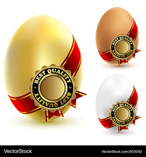 Chicken eggs Royalty Free Vector Image - VectorStock