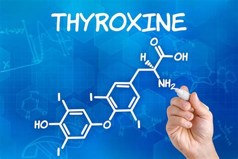 Thyroid Hormone Replacement Risks