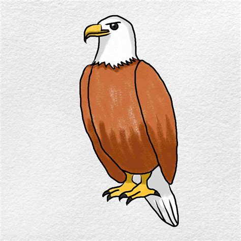 How To Draw A Eagle Step By Step Easy