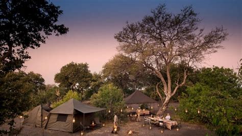 Affordable Okavango Delta Safari | Discover Africa