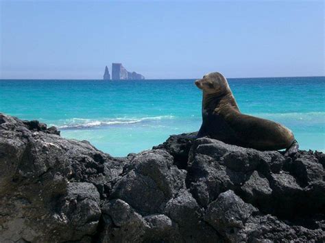 Parque Nacional Galápagos, Ecuador ~ #ParquesYMuseos ~ Infobae.com