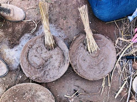 A New Pithouse for the Presidio - Archaeology Southwest