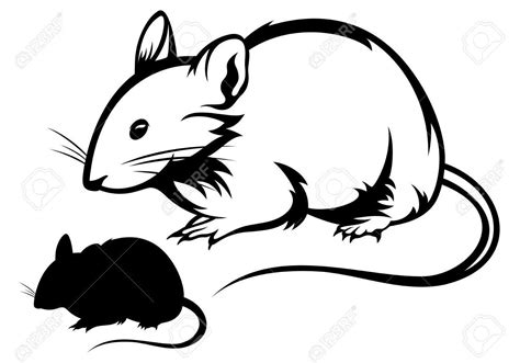 Rat Outline Drawing at GetDrawings | Free download