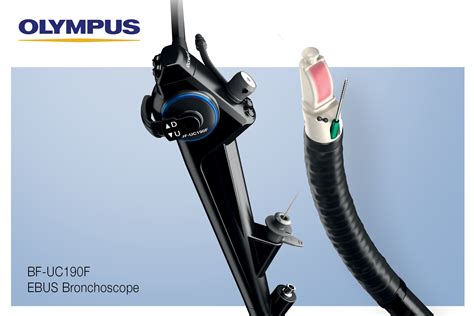 Olympus Announces New Endobronchial Ultrasound (EBUS) Bronchoscope ...