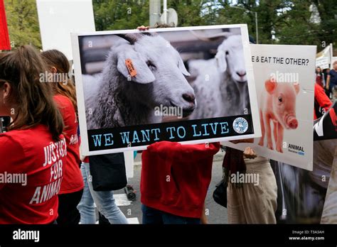 Animal rights activists hi-res stock photography and images - Alamy