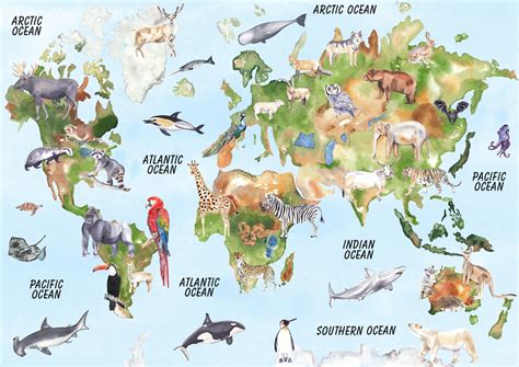 Watercolor Map, Watercolor Animals, Animal Drawings, Cute Drawings ...