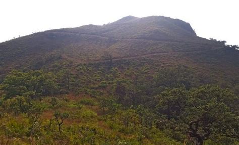 Tribals gherao hill in Chhattisgarh's Bailadila to oppose iron ore mining, claim excavation site ...