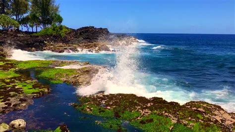 Hawaiian Paradise : An escape into the Magnificent Islands