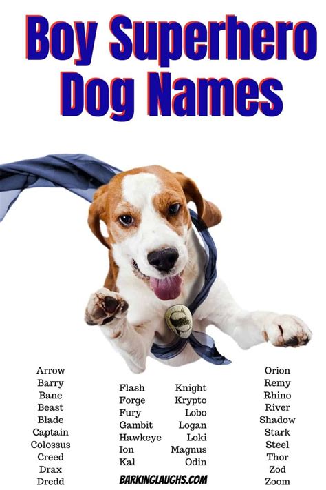 700 Best Boy Dog Names with Meanings! Updated 2021! | Dog names, Boy ...