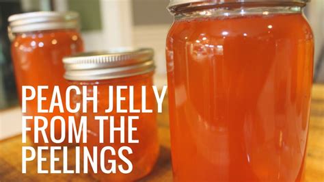 Peach Jelly Recipe With Pectin | Dandk Organizer