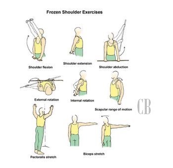 Shoulder Exercises,Shoulder Exercises Tips of 2012: Frozen shoulder ...