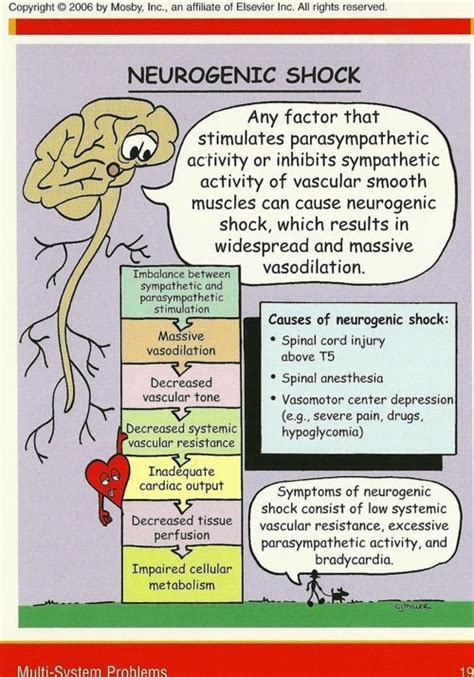 neurogenic shock | Nursing stuff | Pinterest