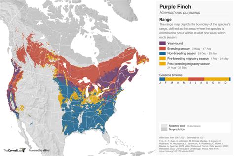 Purple Finch Range Map · Backyard Birds: North American Ornithology Through the Eyes of John J ...