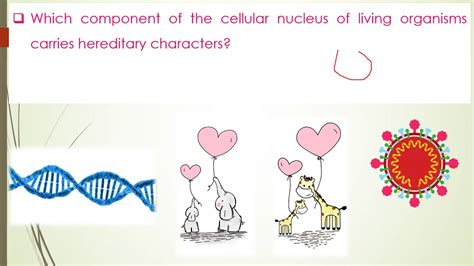 class 10 chapter 1 Heredity & Evolution Introduction part 1 - YouTube