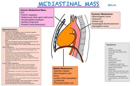 Chest X Ray Revealed A Round Like Mass Arrow In Anter - vrogue.co