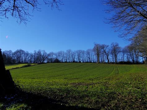 landscape from Limousin at 12 pm Free Photo Download | FreeImages