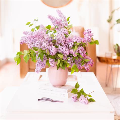 HOW TO CREATE A LILAC BOUQUET - JustineCelina