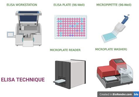 ELISA- Definition, Principle, Procedure, Types, Steps, Applications ...