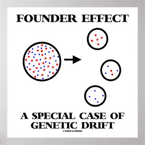 Founder Effect A Special Case Of Genetic Drift Poster | Zazzle