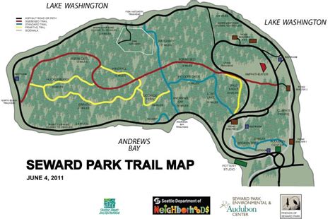 seward park trails near seattle | Seward park, Seattle hiking, Washington state travel