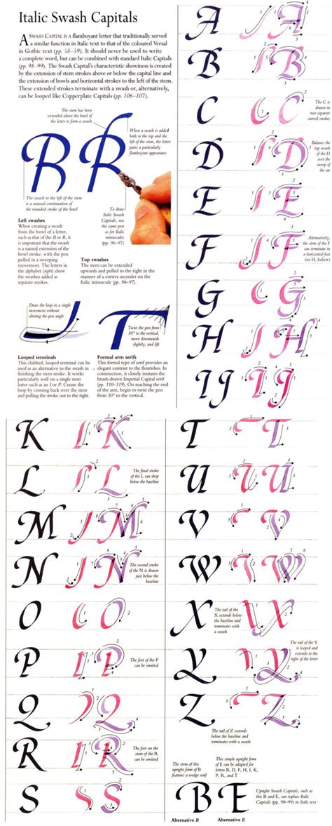 Italic Swash Capitals Lettering Tutorial, Calligraphy Tutorial ...