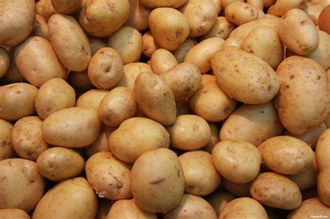 Land of Obscure Potatoes