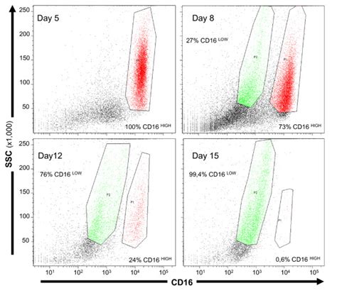 CD16 expression on polymorphonuclear neutrophils in cerebrospinal fluid... | Download High ...