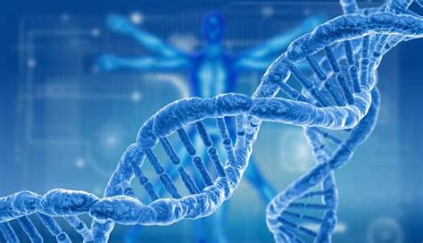 DNA damage is reversible, do you know how to do it?