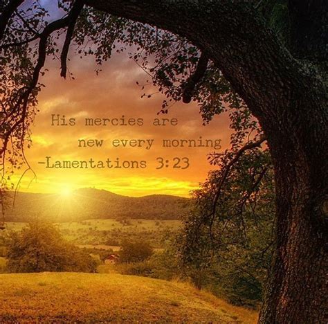 Lamentations 3:23 | Favorite bible verses, Lamentations, Bible qoutes