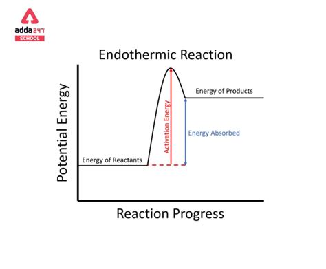 Endothermic Reaction Examples with Equations