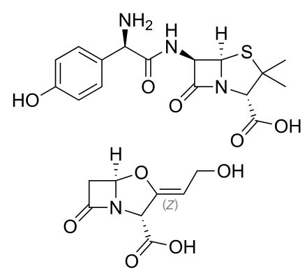 Amoxicillin/clavulanic acid - Wikipedia