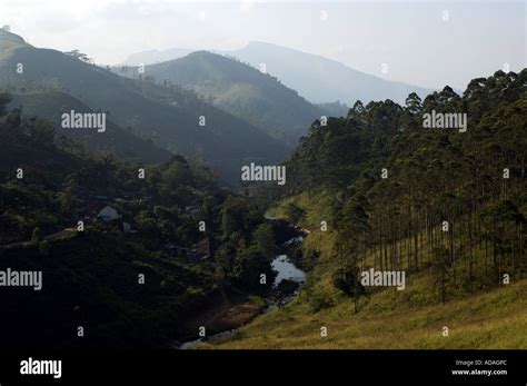 Nuwara Eliya tea plantations Stock Photo - Alamy