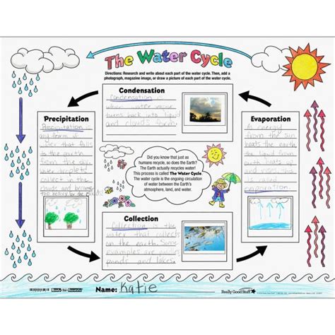 Water Cycle Project Ideas