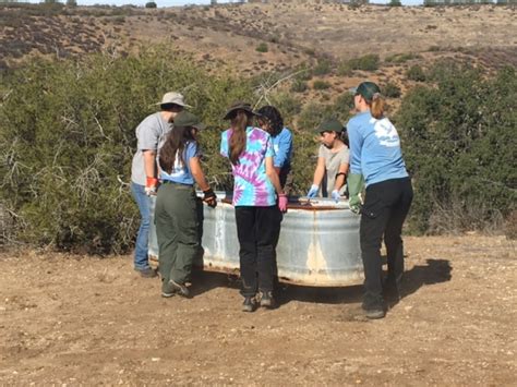 A new trough for wildlife!... - Chimineas Ranch Foundation