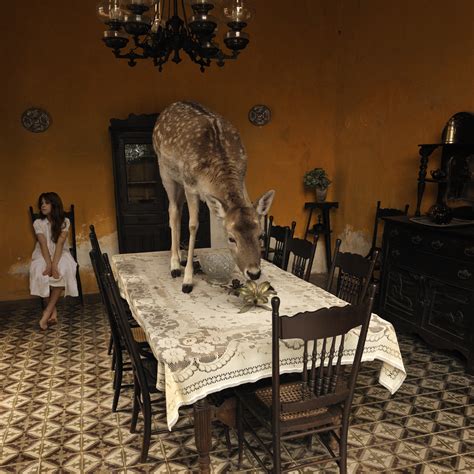 What's up! trouvaillesdujour: Tom Chambers's Mexican reveries