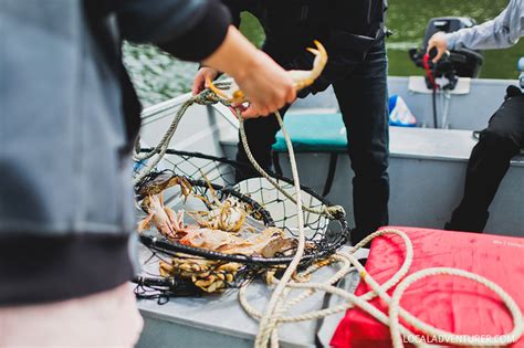 How to Go Crabbing in Oregon - Everything You Need to Know