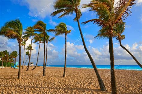 Fort Lauderdale beach sunrise Florida US — Stock Photo © lunamarina ...