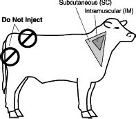 Injections — North Dakota Beef Quality Assurance