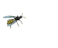 Animated Bee And Wasp Gifs at Best Animations