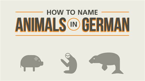 Learn German Animal Names With This Useful Flowchart | Babbel Magazine